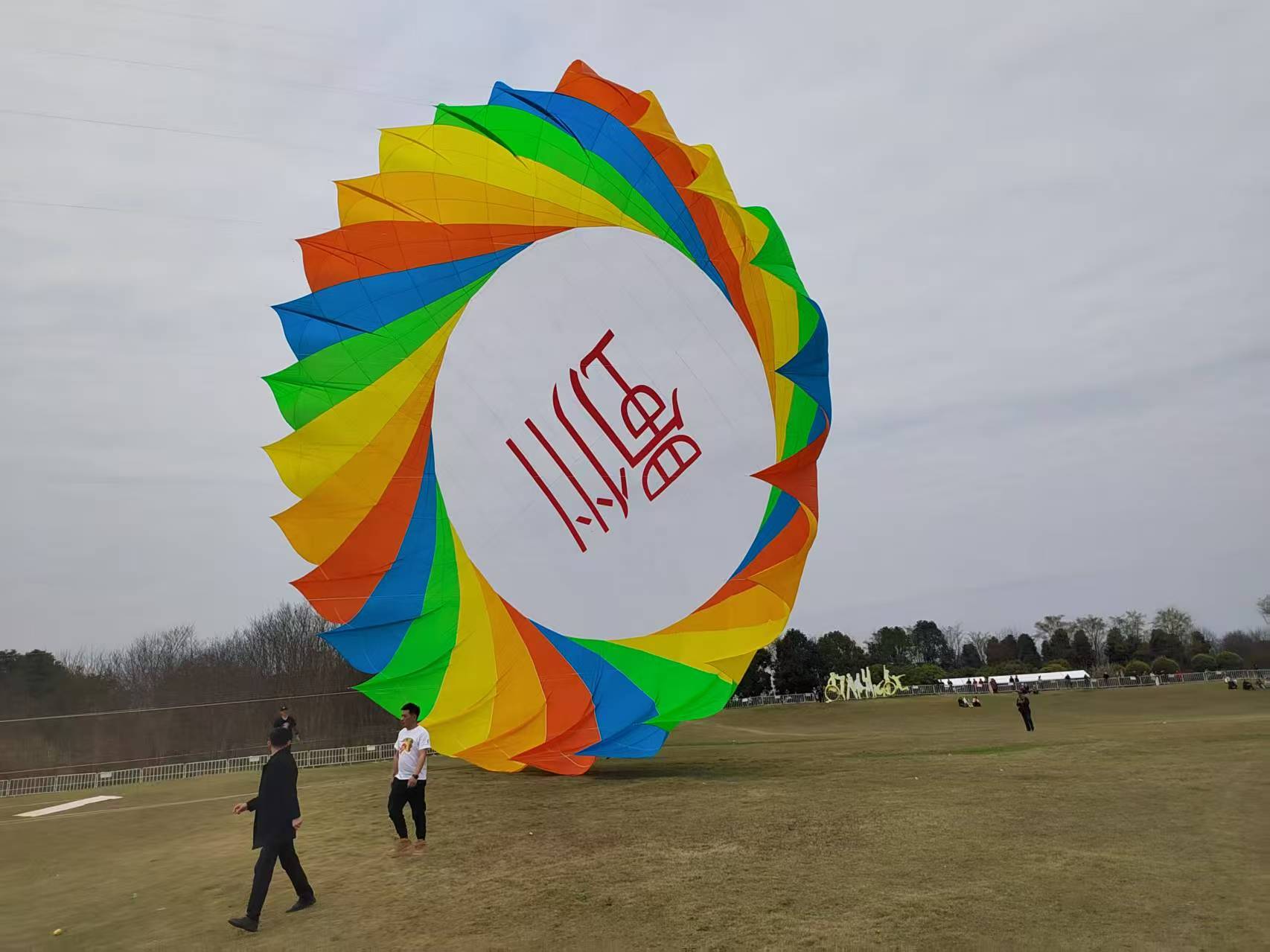 玉林市品牌风筝定制风筝批发 - 方案