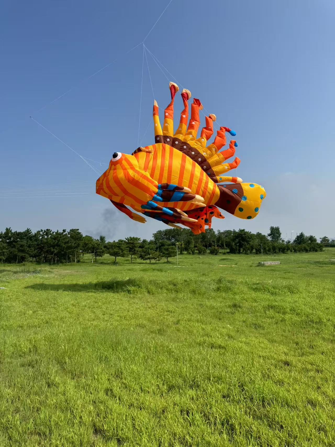 玉林市宣传风筝定制风筝商业放飞 - 排名