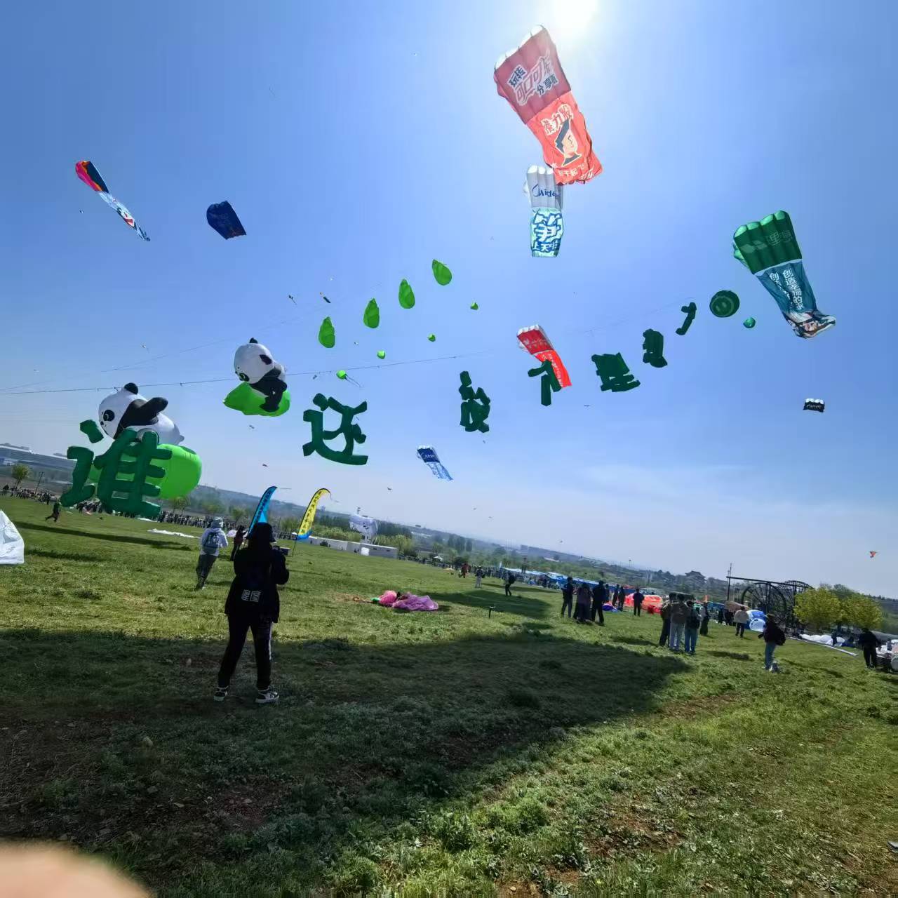 玉林市软体风筝定制风筝定制 - 排名